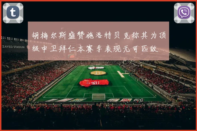 胡梅尔斯盛赞施洛特贝克称其为顶级中卫拜仁本赛季表现无可匹敌